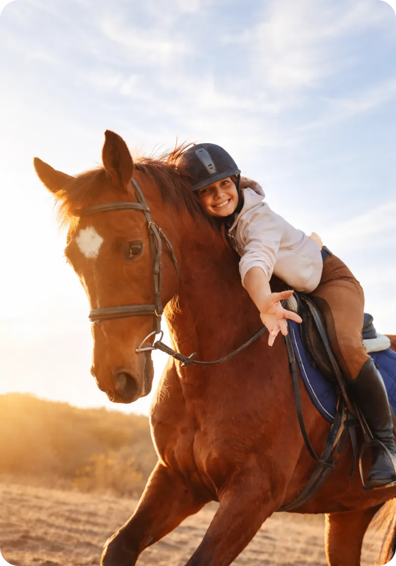 Верховая езда